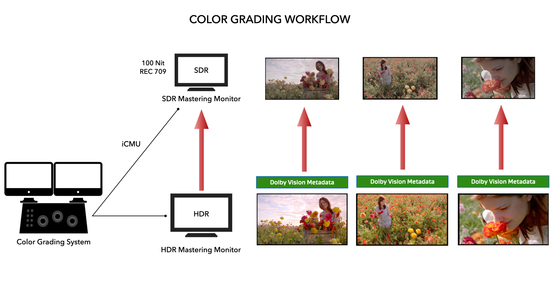 dolby vision certified monitors