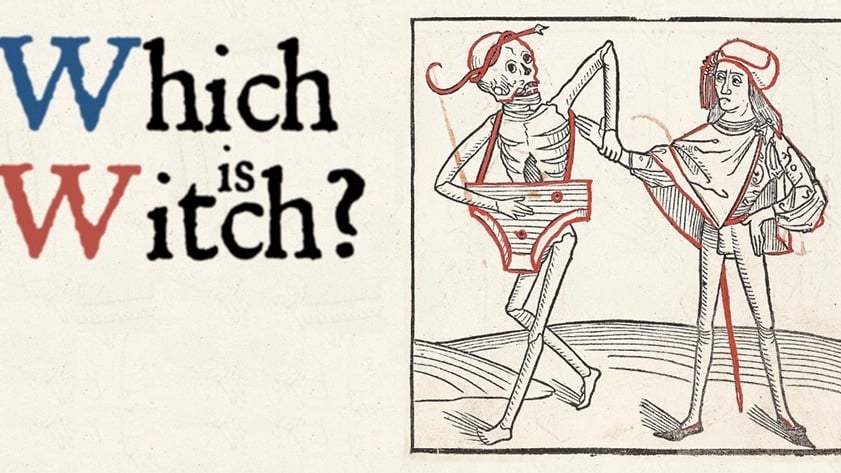 Which is Witch - Dolby Professional